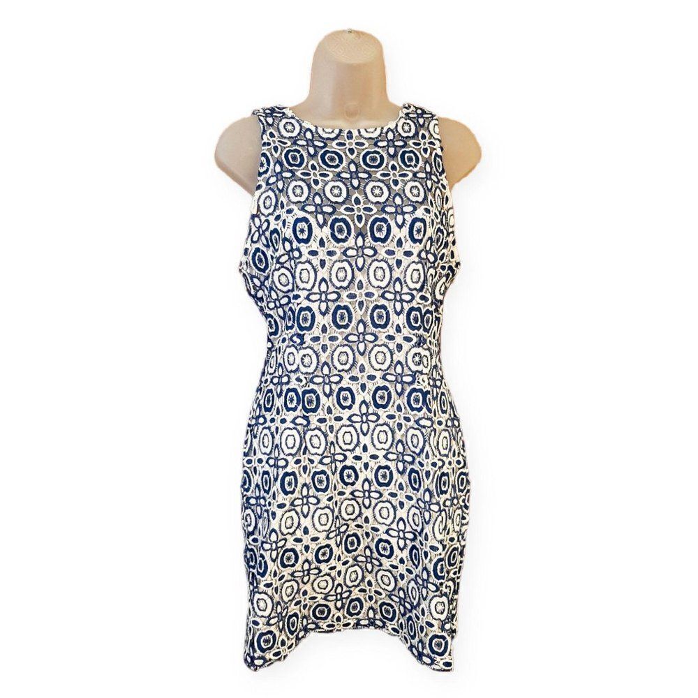 BB Dakota Blue and White Floral Dress sz 4